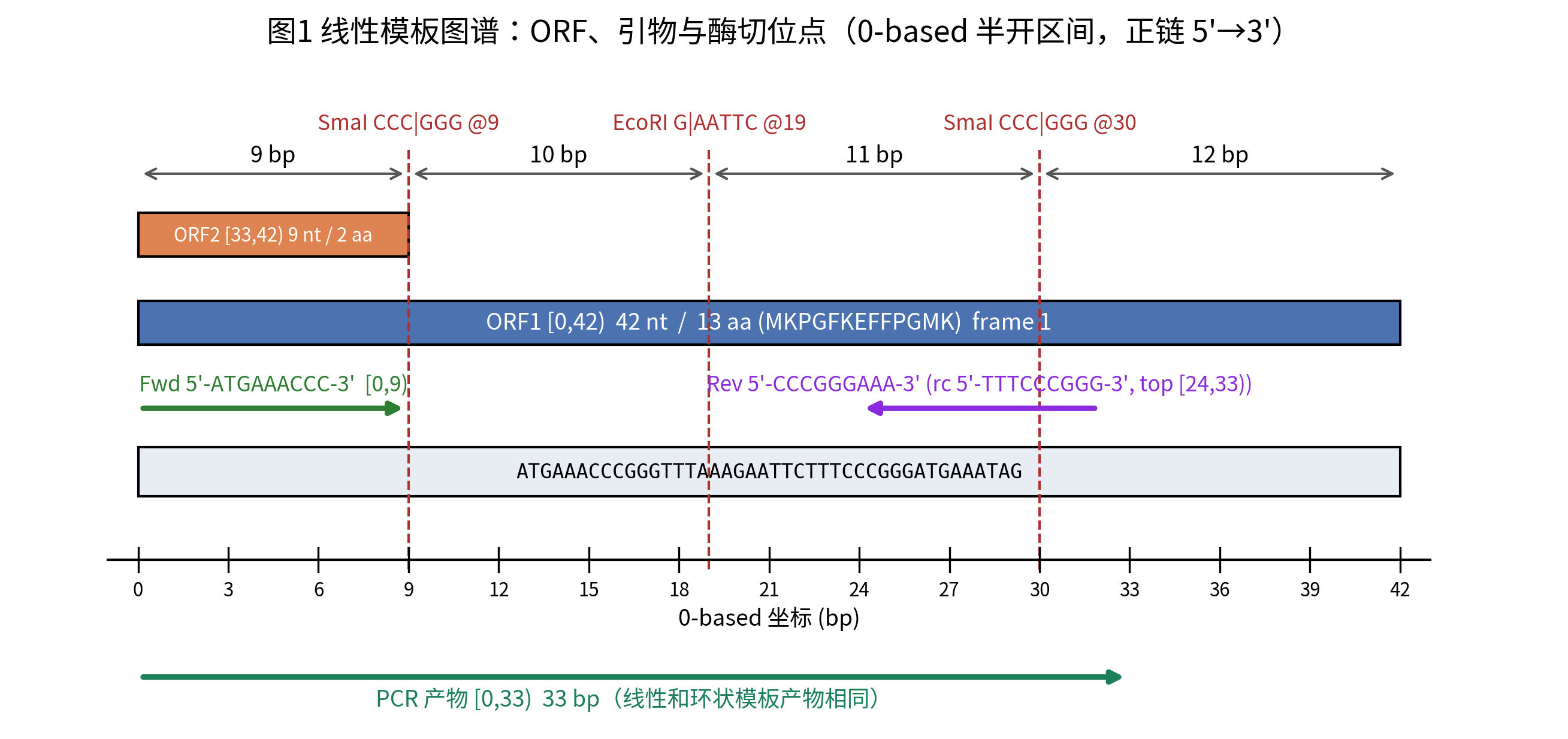 线性模板的位点与方向